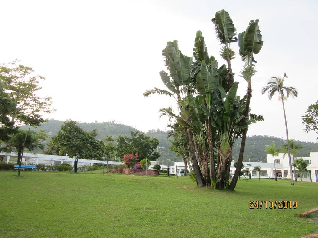 Children's Glass Slide