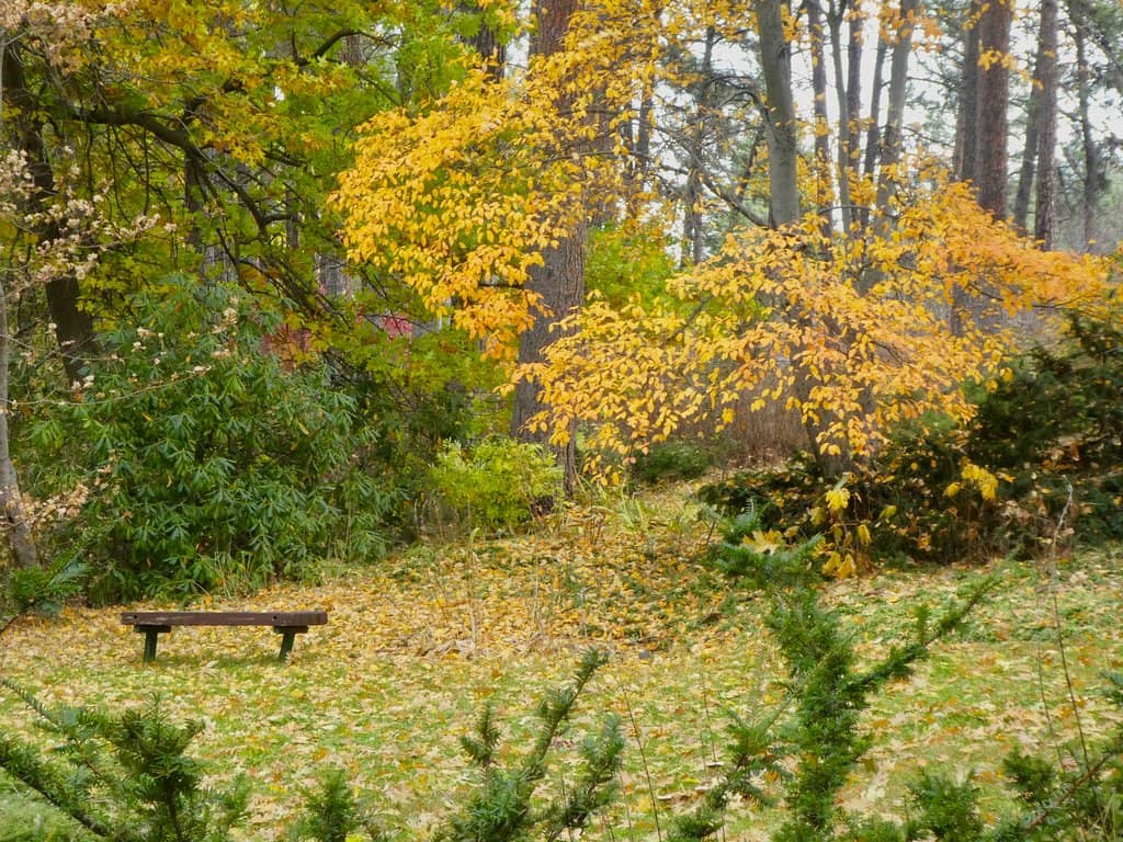 Community Garden & Wildlife
