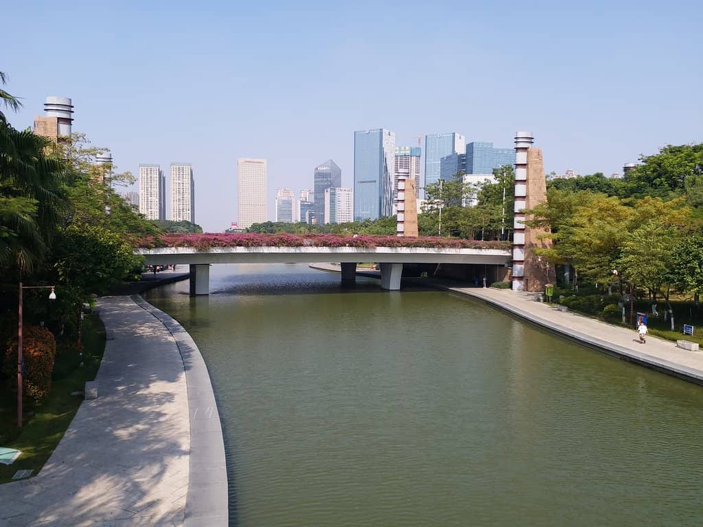 Building Light Shows