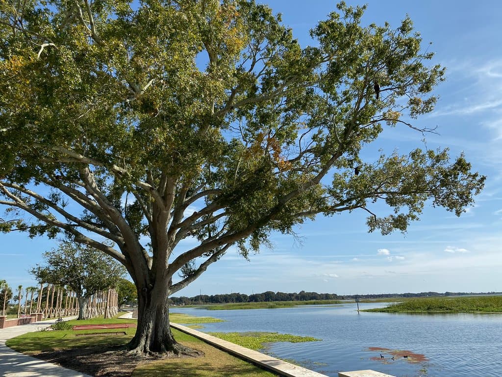 Lake walk