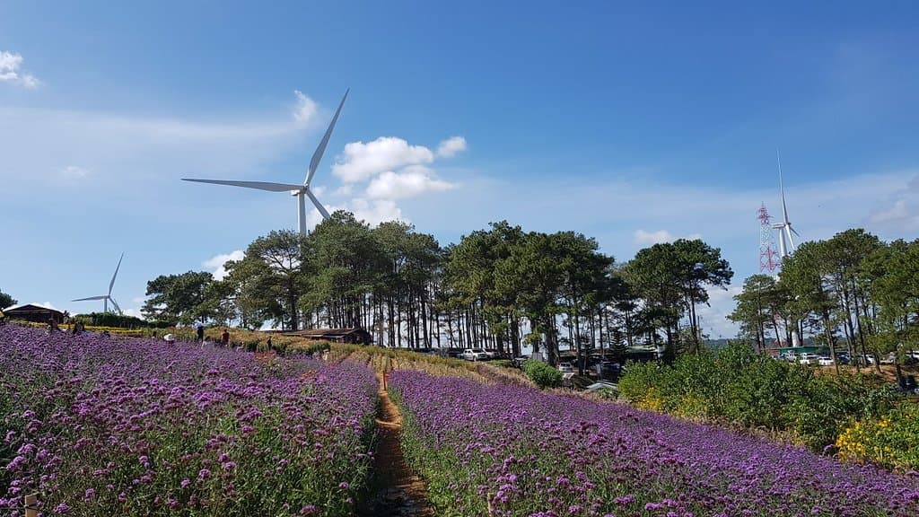 Khao Yai Thiang Wind Farm
