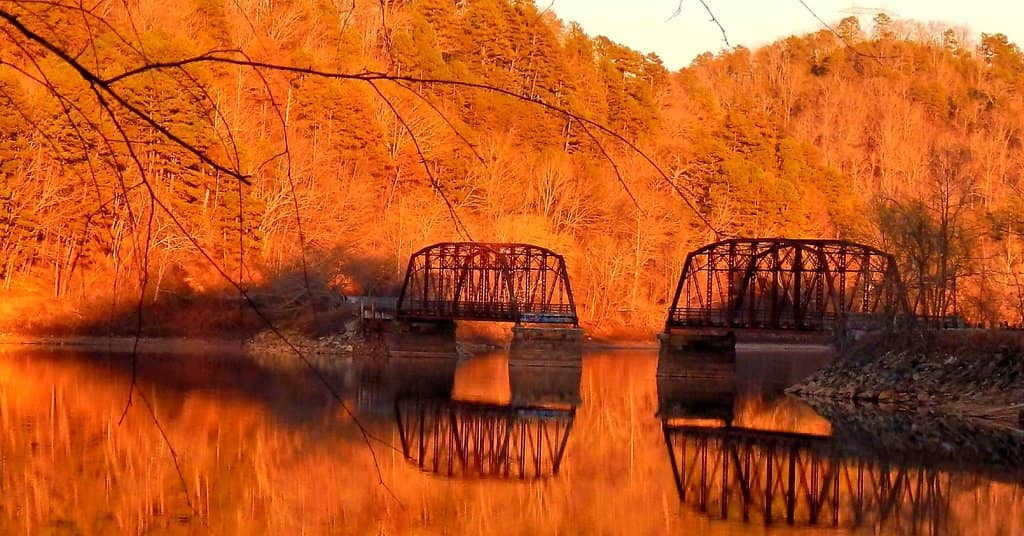 Charming Transformed Space