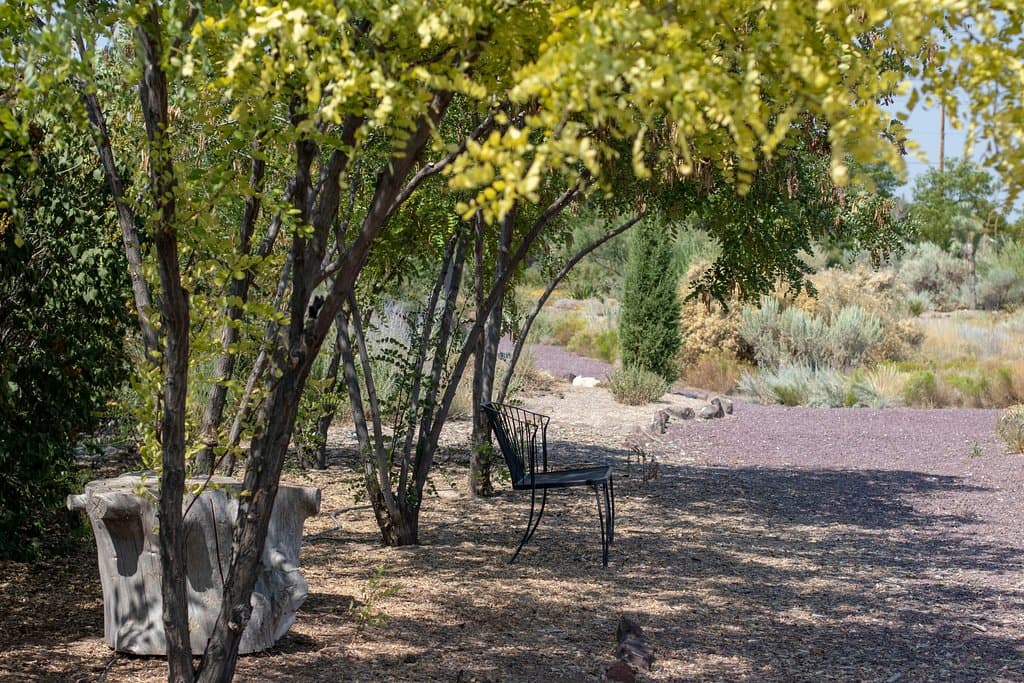 Take a seat in the shade!