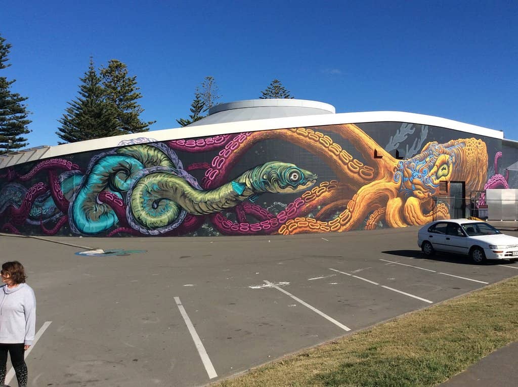 Local and International Artists