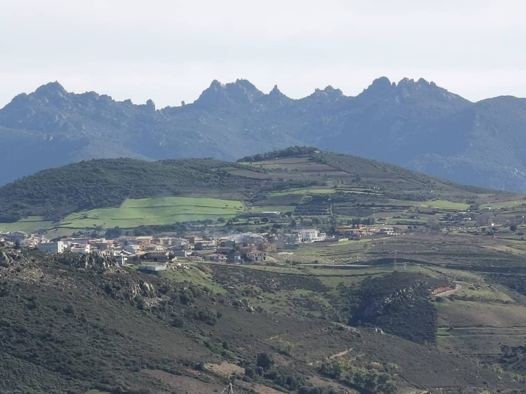 Sardinian Deer Spotting