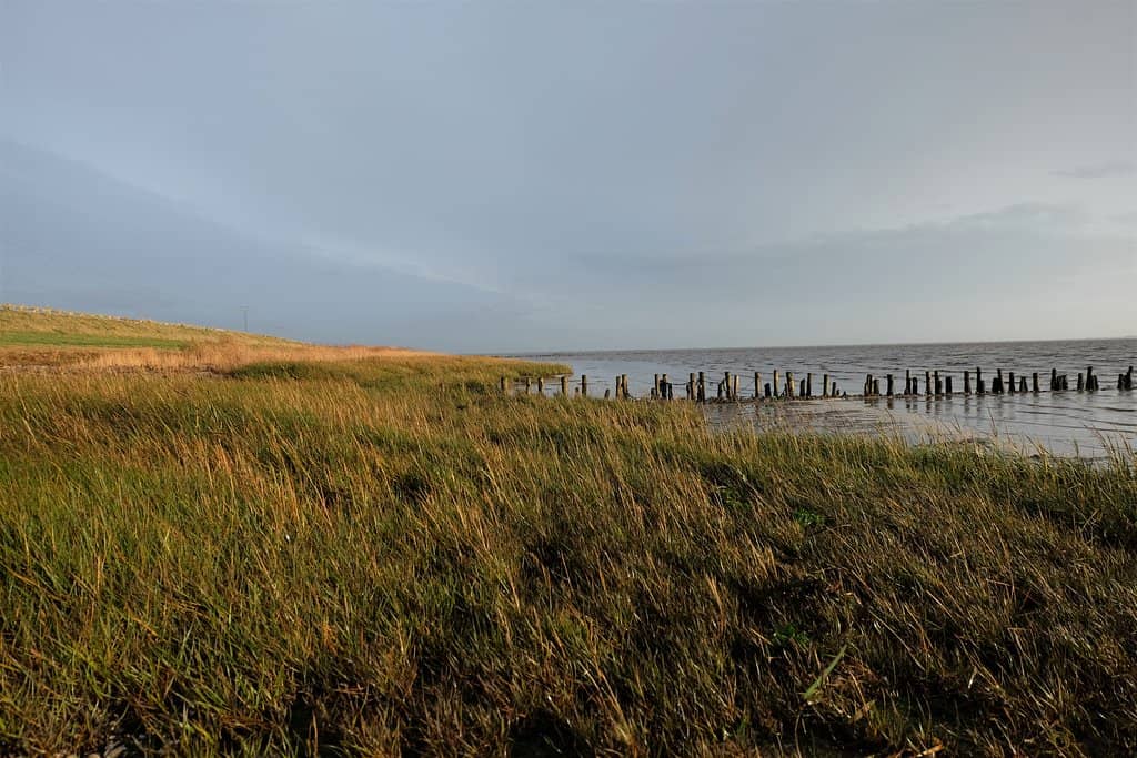 Mid-Causeway Stop
