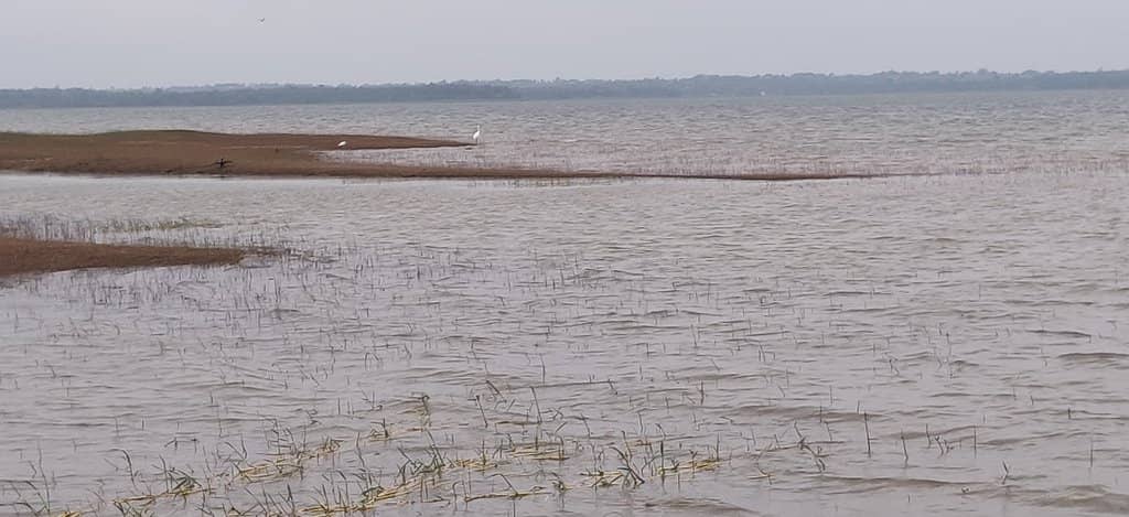 Sunrise and Sunset Views