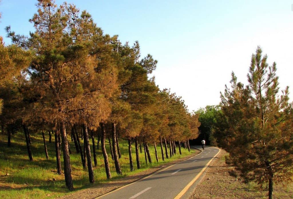 Vast Green Spaces