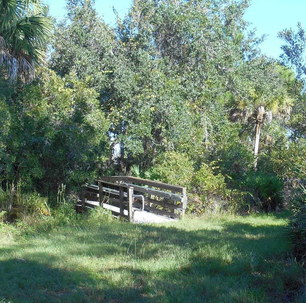 A sturdy boardwalk leads to Lemon Lake
