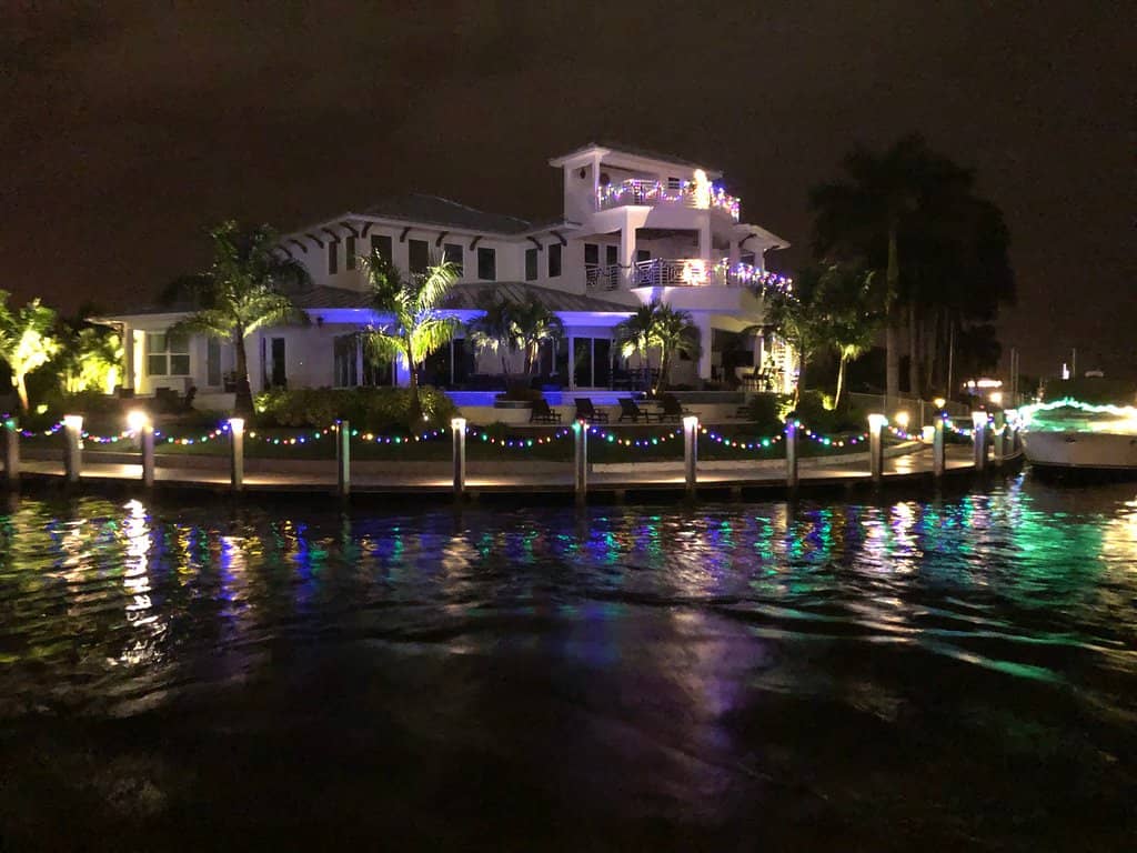 Dolphin Sightings