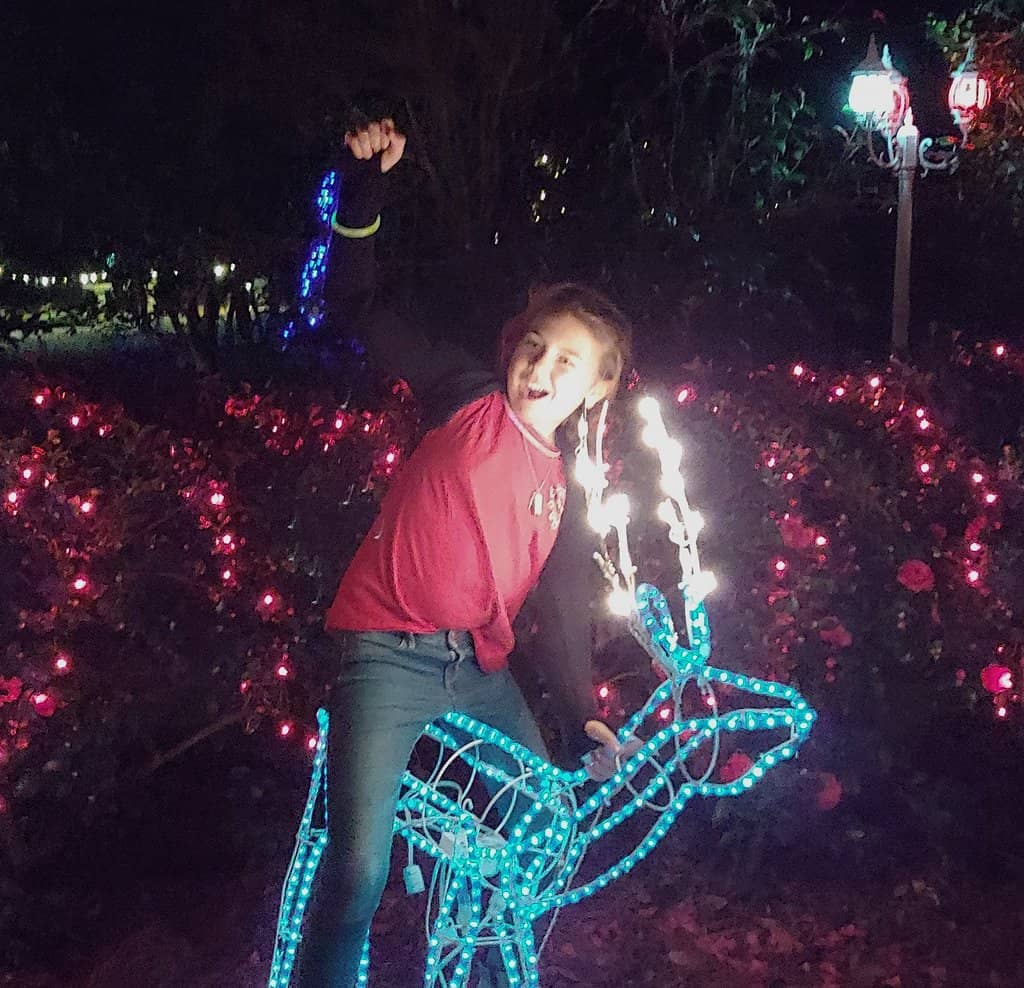Holiday Lights Extravaganza