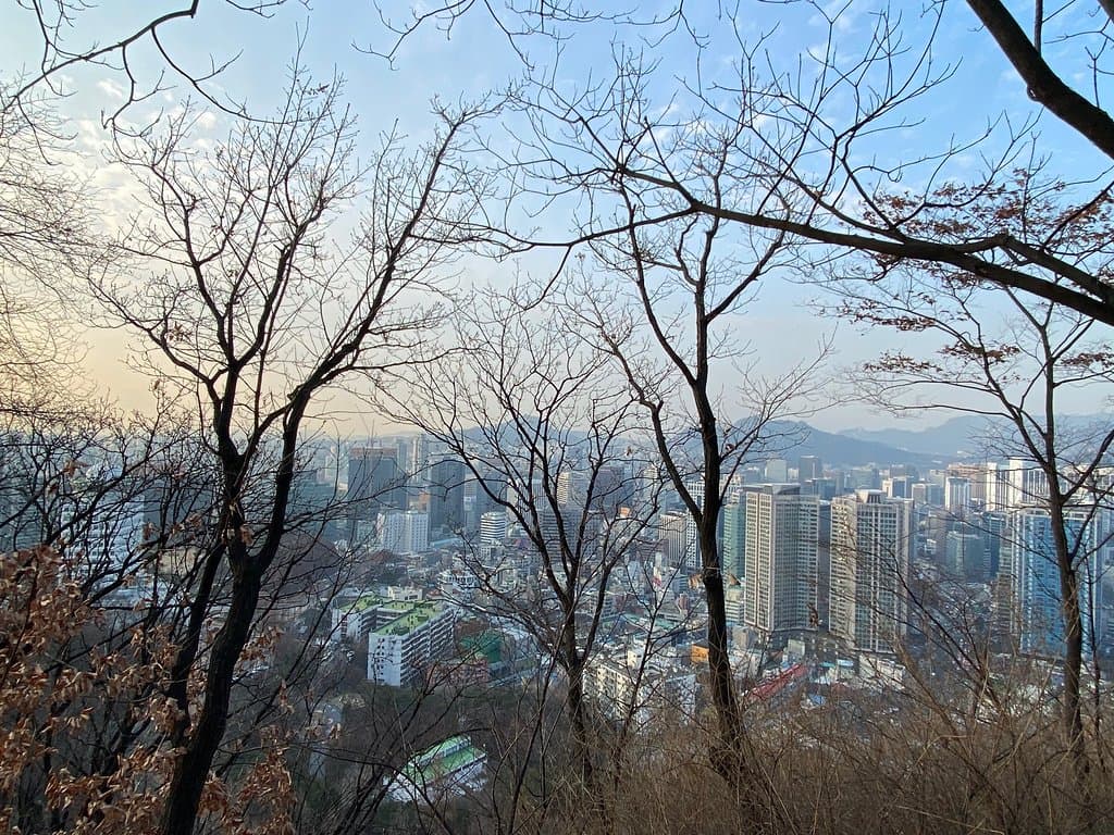 Discover the Namsan Park Area