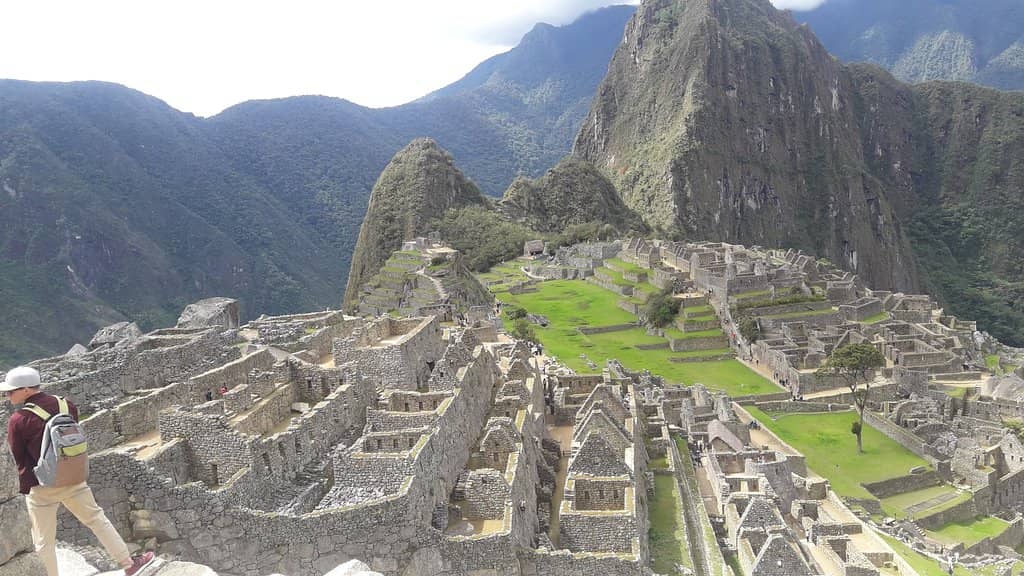 Native Wildlife Spotting