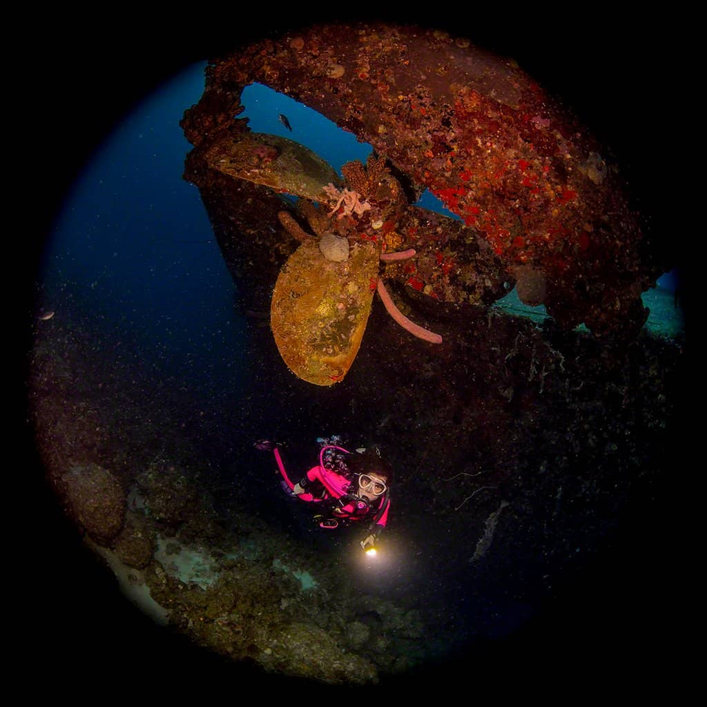 Abundant Marine Life