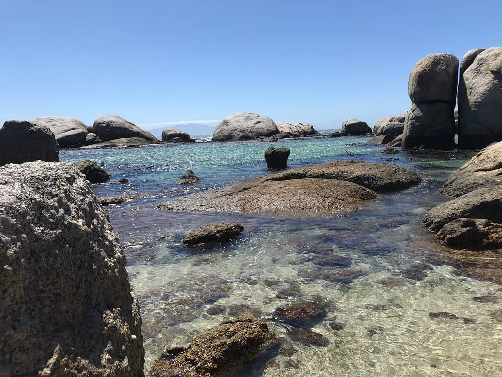 Proximity to Penguin Colony