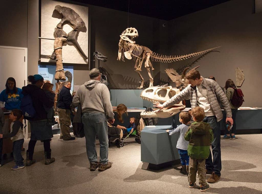 Interactive Exhibits