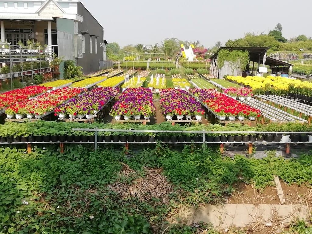 Sa Dec Flower Village