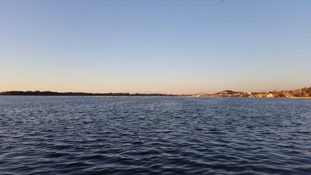 Suspended Wooden Bridge
