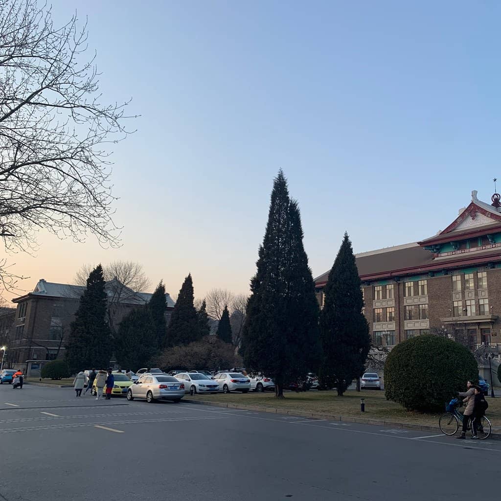 Martial Arts Showcase