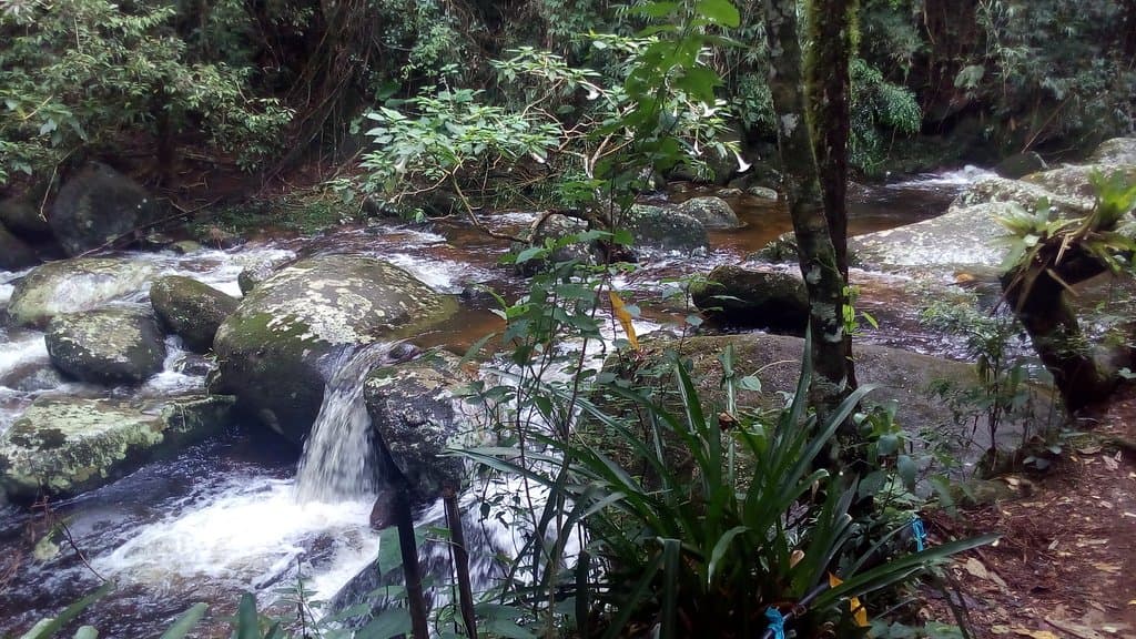 Inúmeras quedas d'água no Parque Municipal Juarez Frotté
