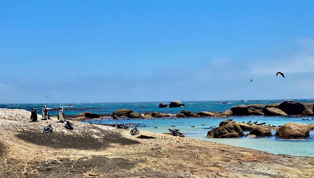 Coastal Views & Tranquility