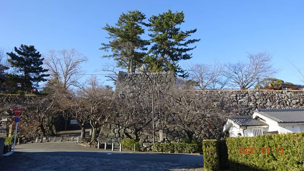 Panoramic Park Views