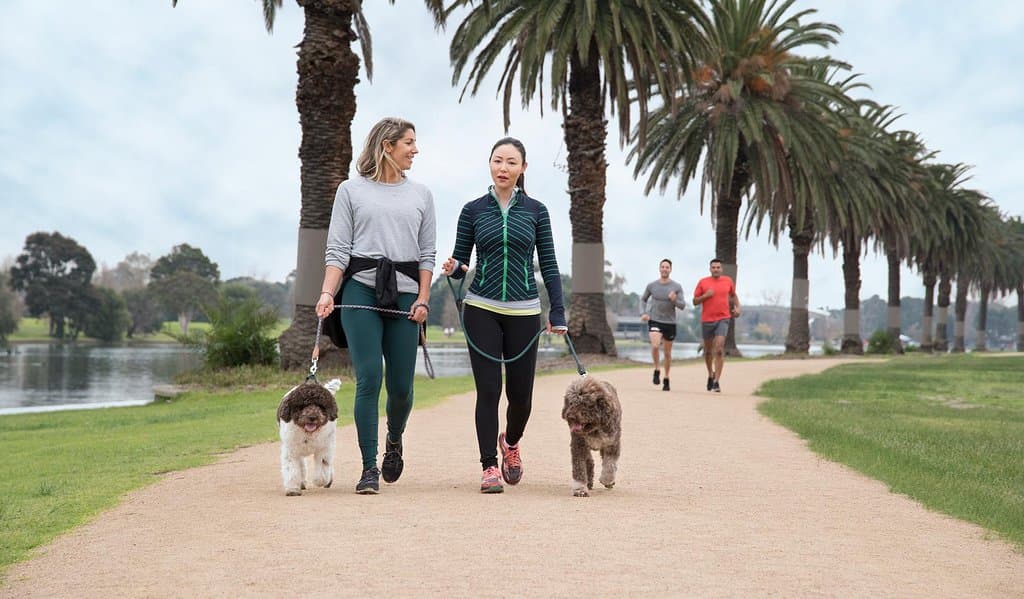 Jog, cycle or walk with your dog around Albert Park Lake