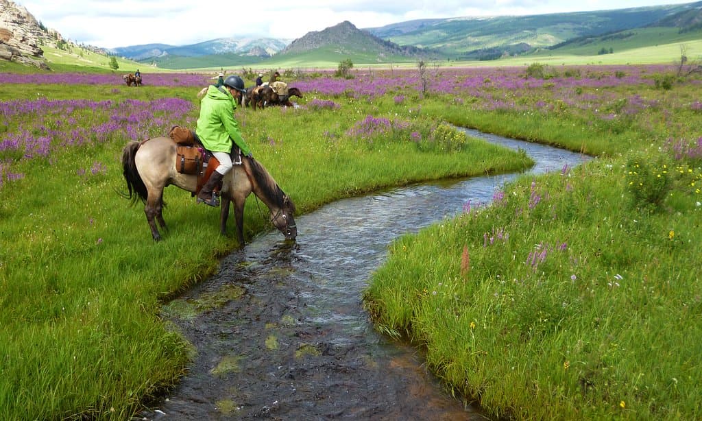 Horse riding at Terelj National Park will be so peaceful and unforgettable moment.