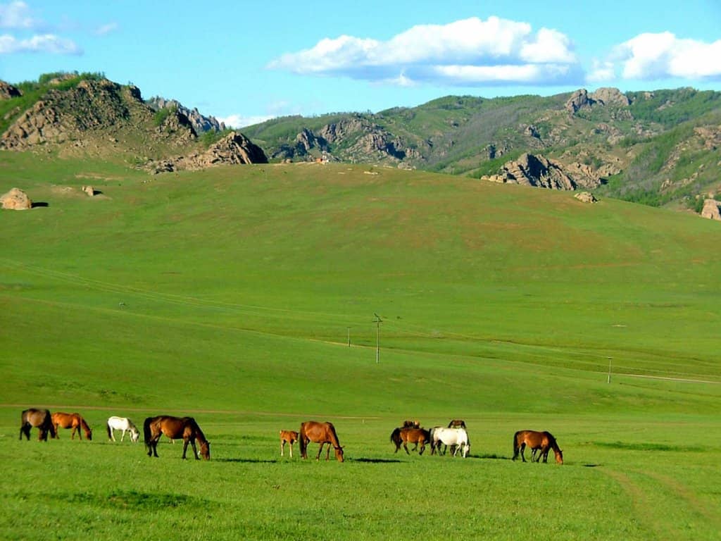 Tuul River Views