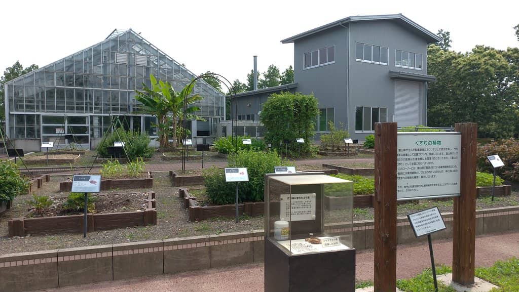 Tropical Plant Greenhouses