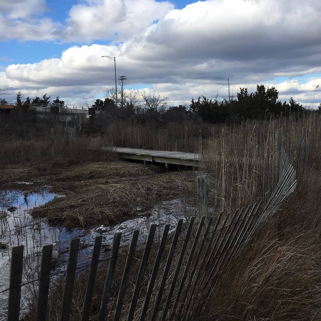 Fishing and Crabbing