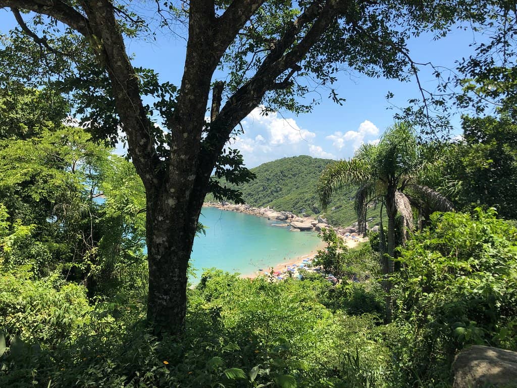 Witnessing the Mullet Catch