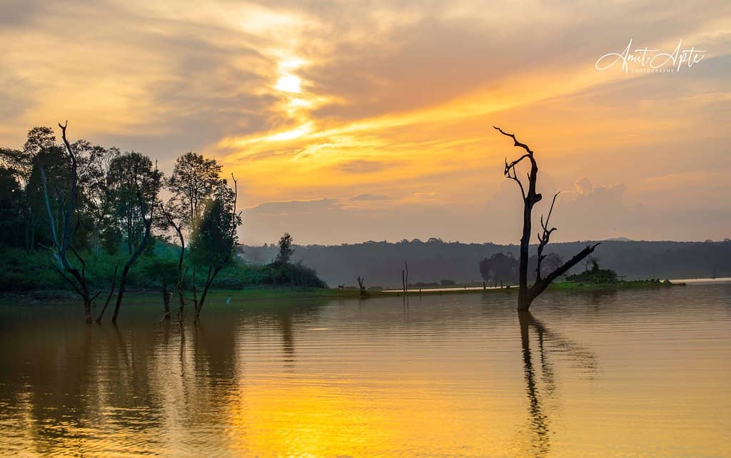 Kabini Backwaters Boat Safari