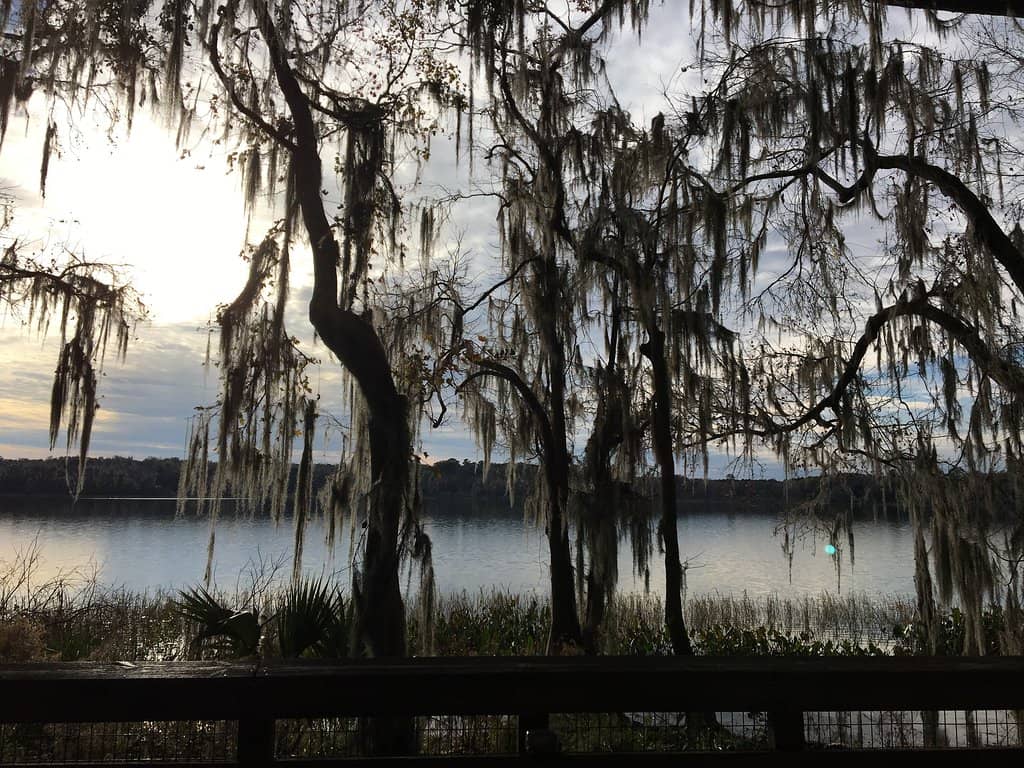 Bolen Bluff Trail