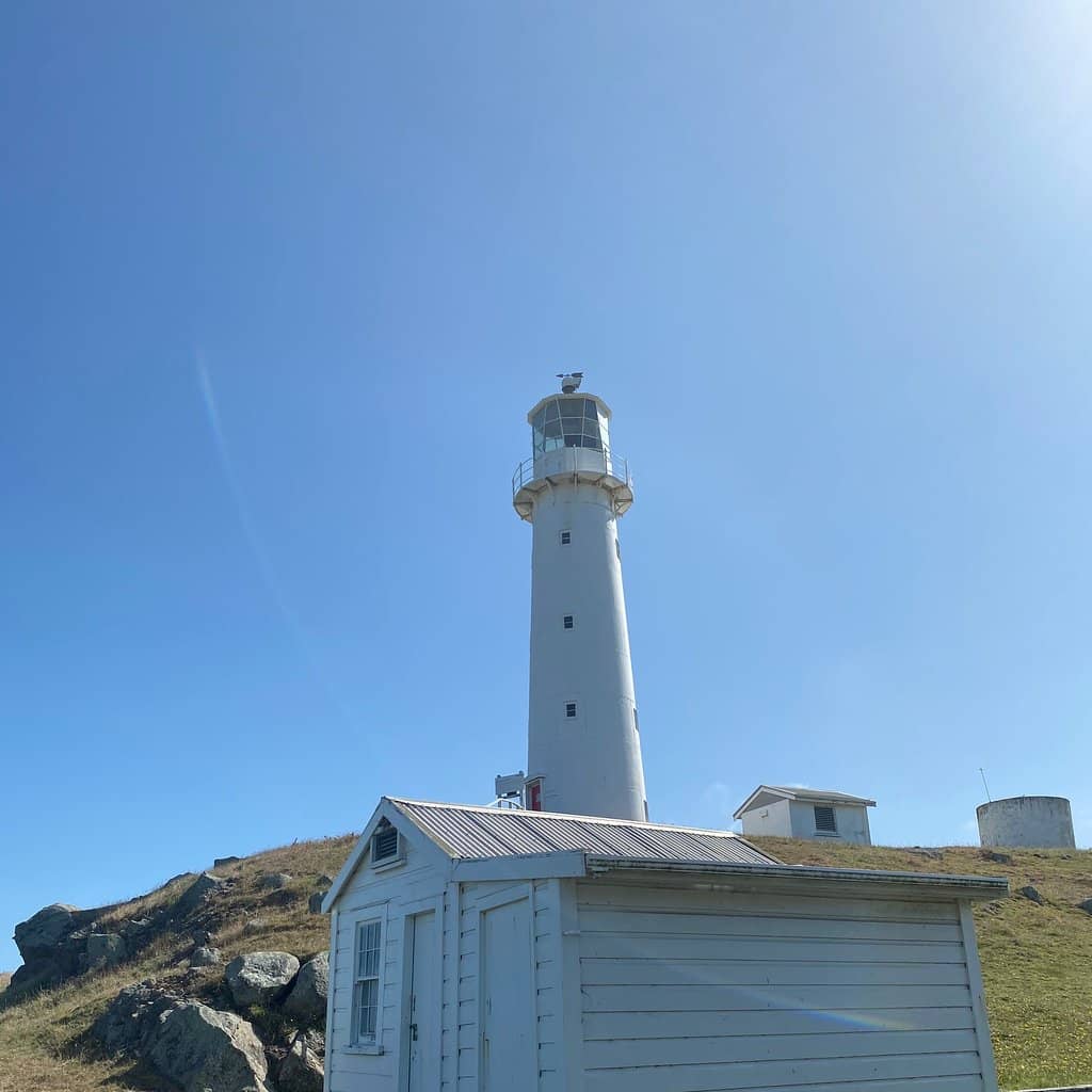 Mount Taranaki Backdrop