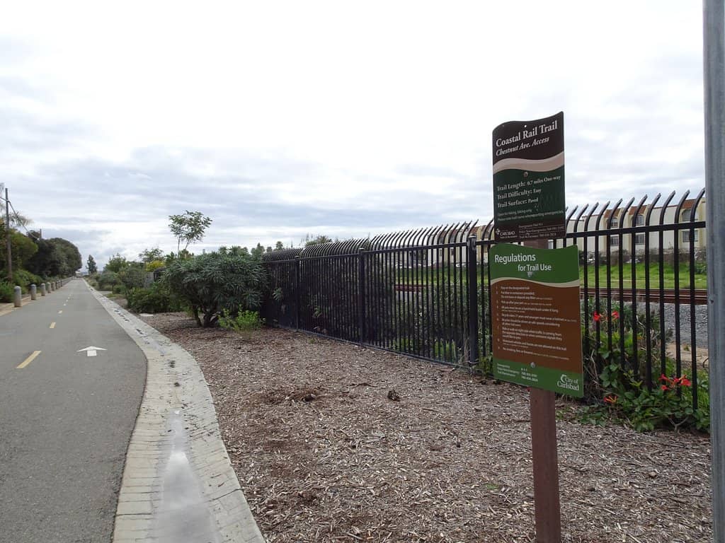 Tide Pool Exploration