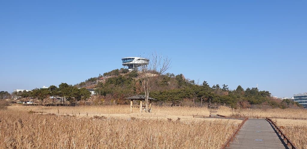 Makiya Park Observation Deck