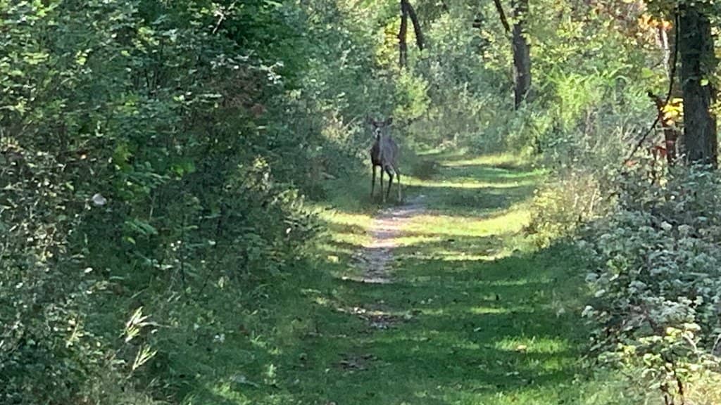 Outdoor Trails and Gardens