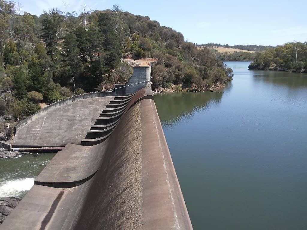 Trevallyn Reserve Walking Tracks