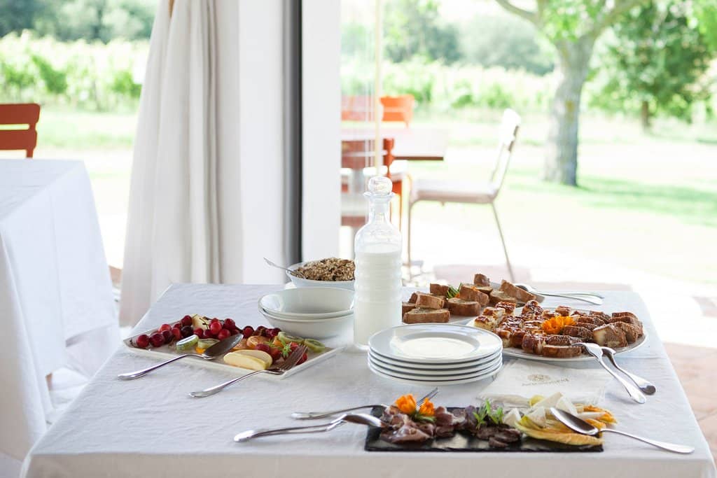 Biodynamic Winemaking Tour