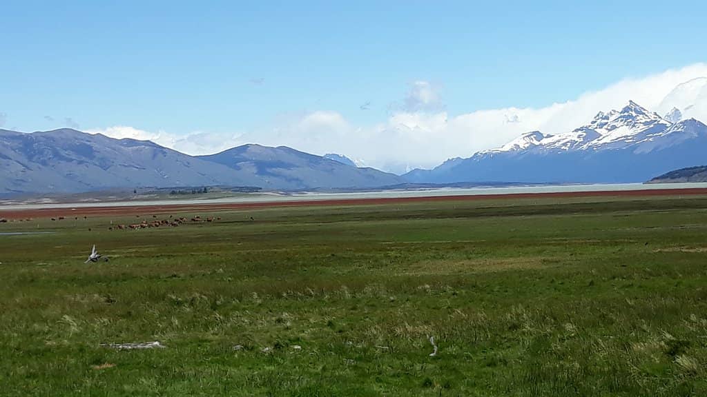 Lago Roca's Serene Shores