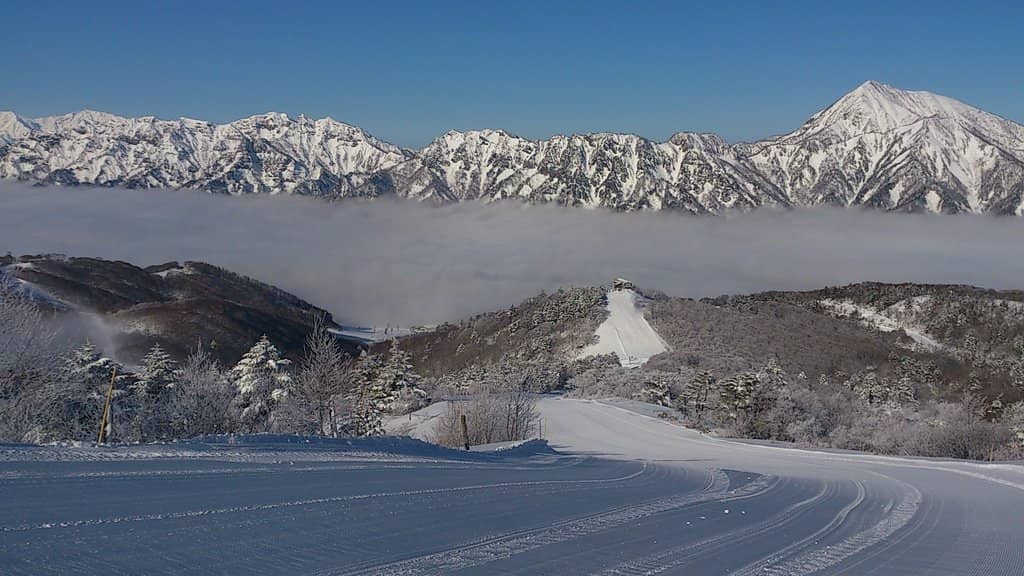 Powder Snow Paradise