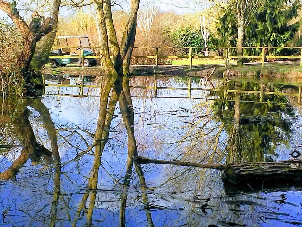 Vertical photo