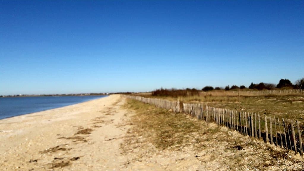 Réserve naturelle de Moëze-Oléron