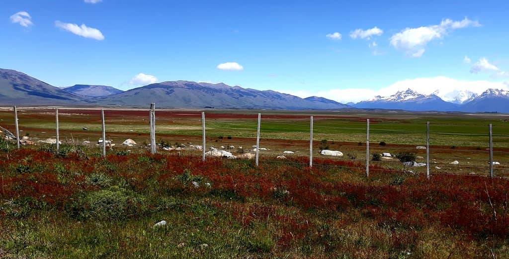 Patagonian Desert Drive