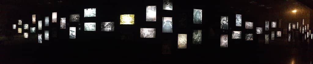 Vertical photo