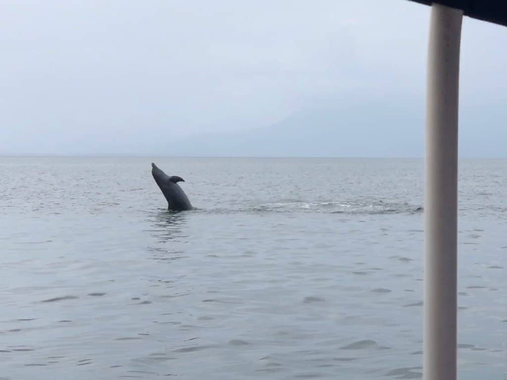 Secret Snorkeling Spot