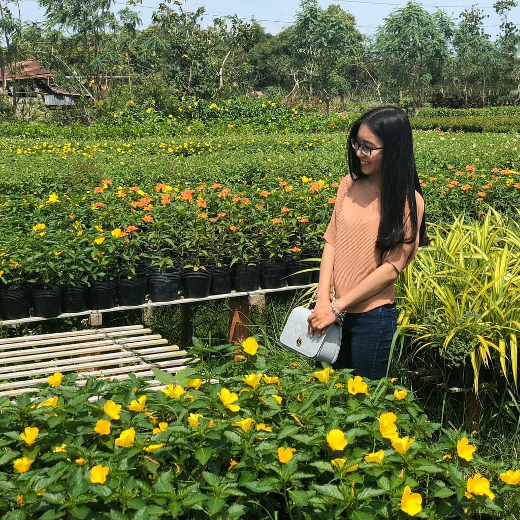 Traditional Flower Gardens