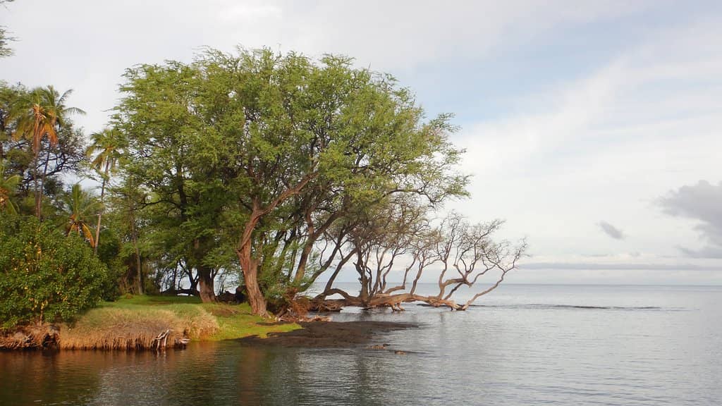 Kīholo Bay