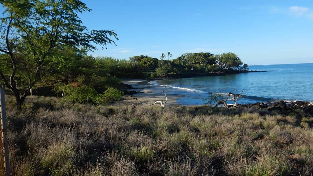 Waikoloa Beach Resort Area